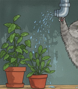 ߾б ê(Chat)  å()⡹ 